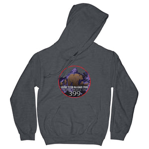 Home Range of 399 - Hoodie Hoodie Printify Dark Heather S