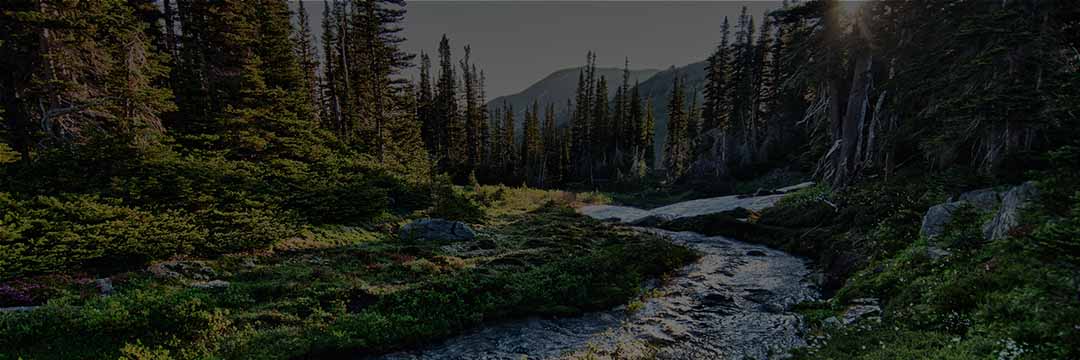 Olympic National Park