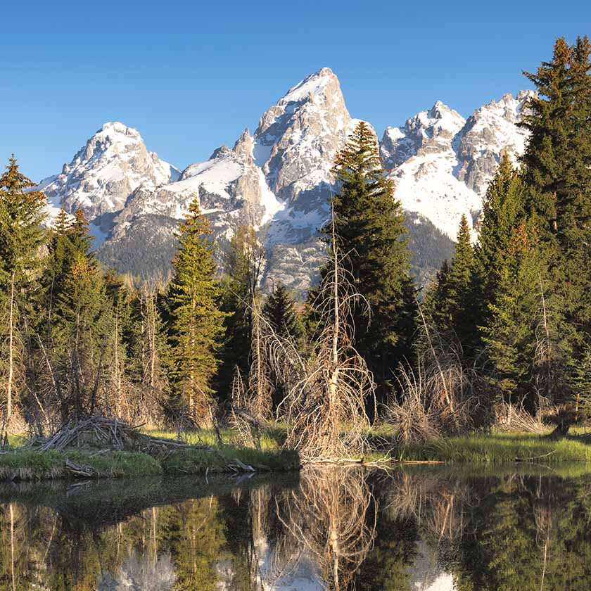 Tetons at Schwabacher Landing