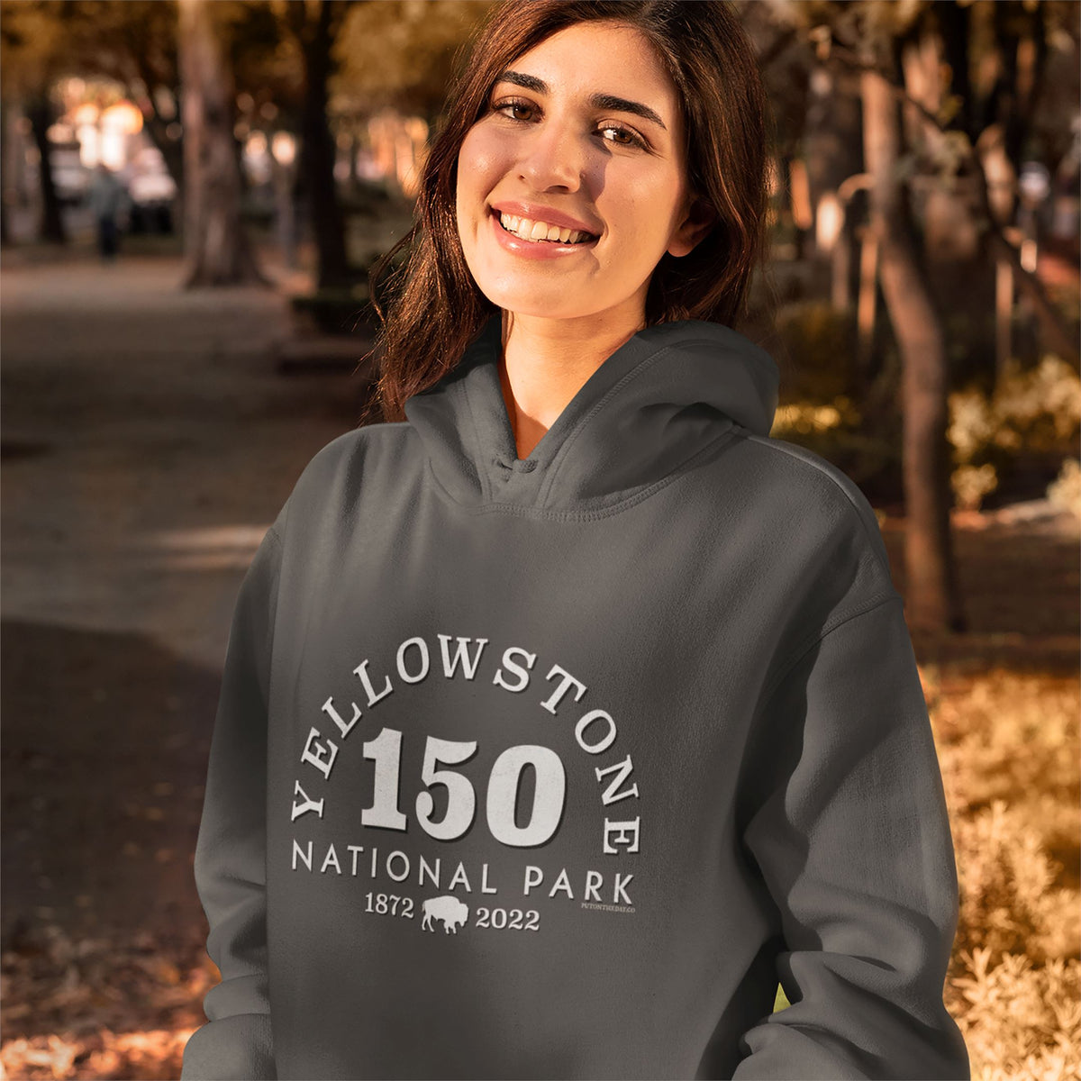 Yellowstone 150th Anniversary Hoodie Hoodie Printify 